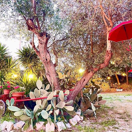 Mirella Charming Bed & Breakfast Alberobello Ngoại thất bức ảnh