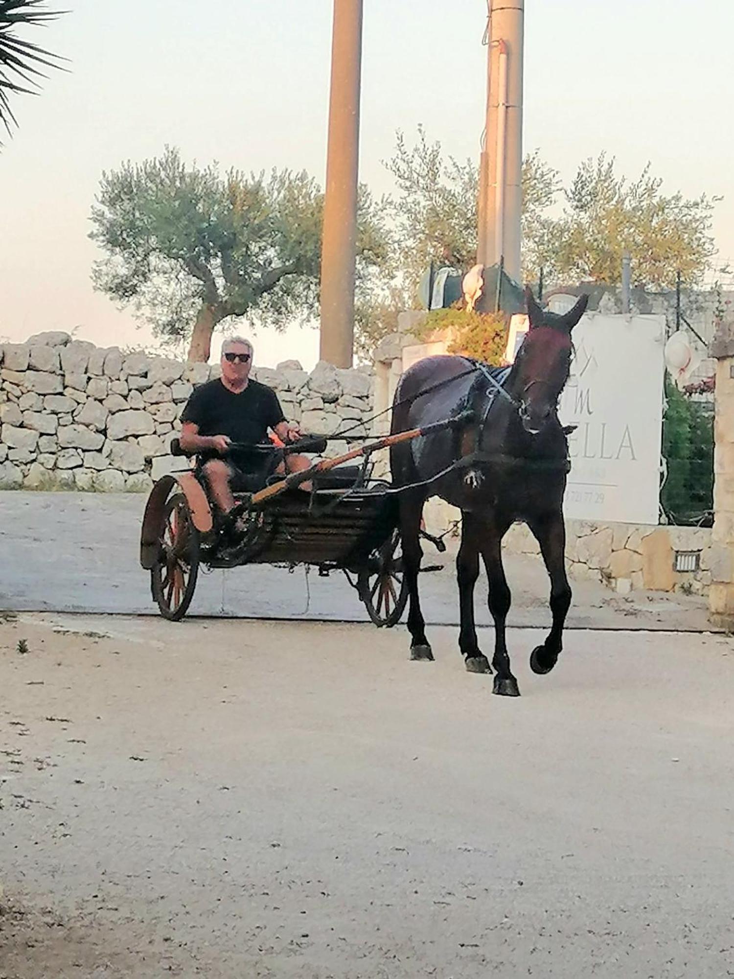 Mirella Charming Bed & Breakfast Alberobello Ngoại thất bức ảnh