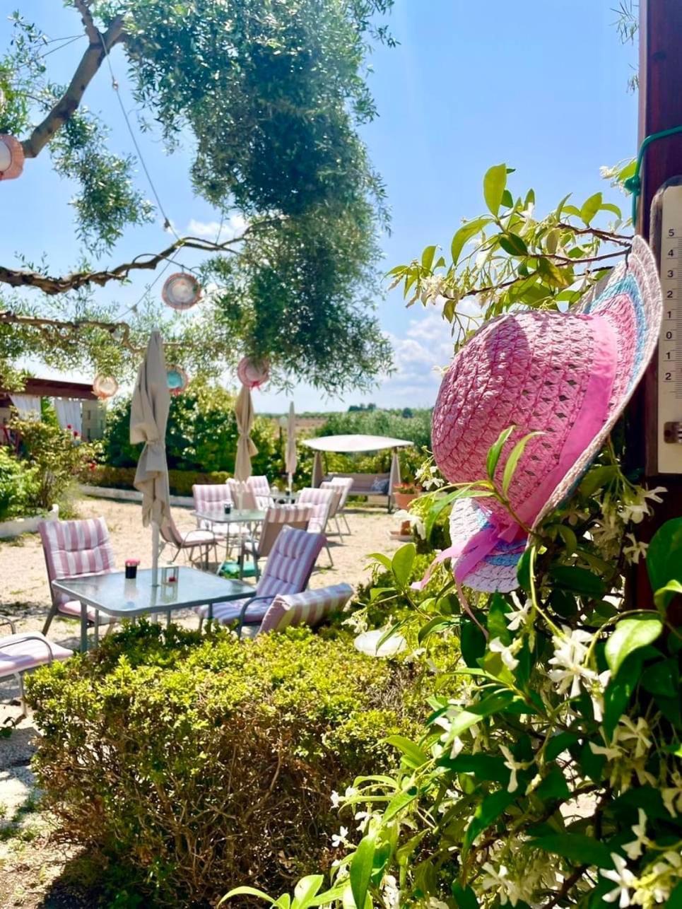 Mirella Charming Bed & Breakfast Alberobello Ngoại thất bức ảnh
