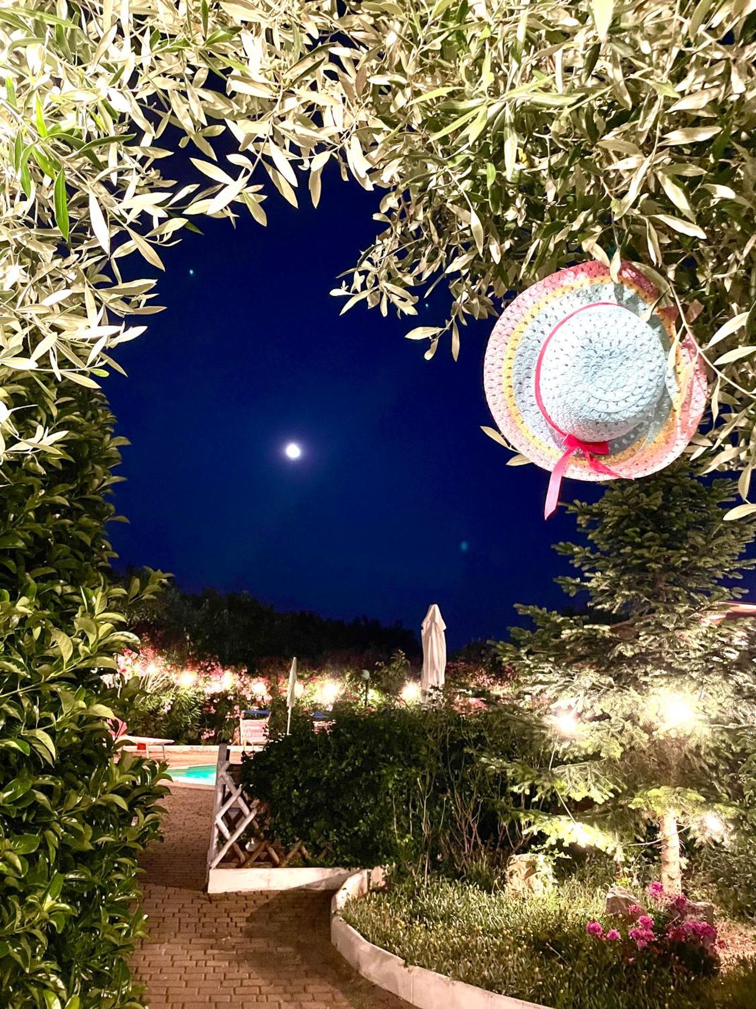 Mirella Charming Bed & Breakfast Alberobello Ngoại thất bức ảnh