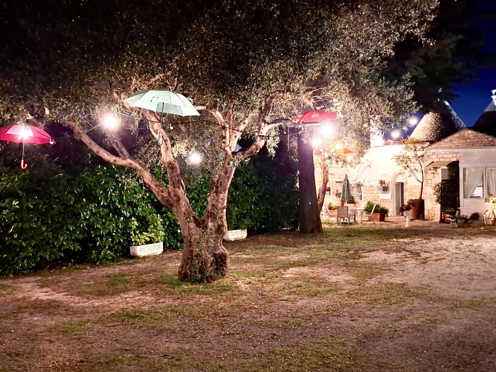 Mirella Charming Bed & Breakfast Alberobello Ngoại thất bức ảnh