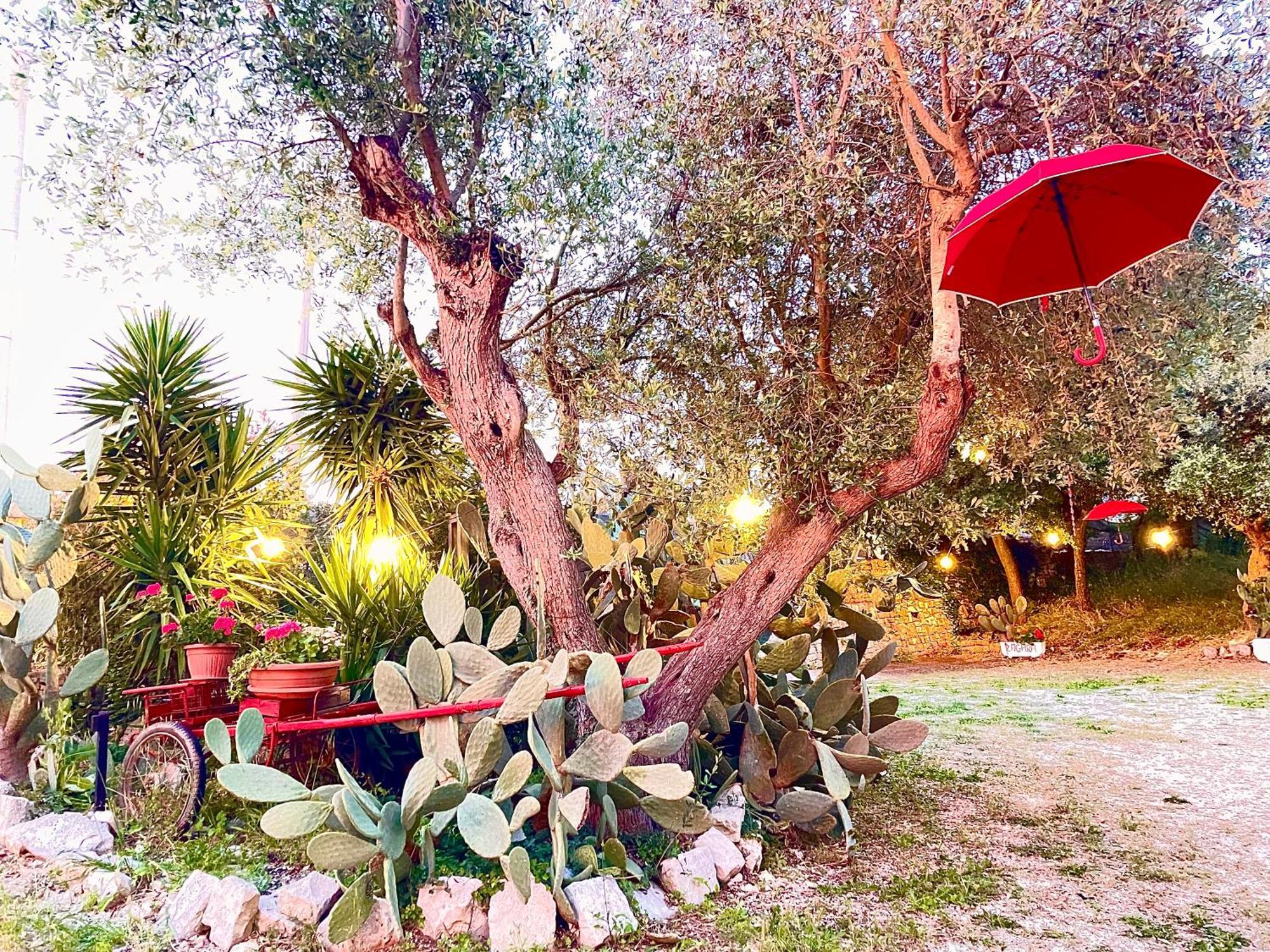Mirella Charming Bed & Breakfast Alberobello Ngoại thất bức ảnh