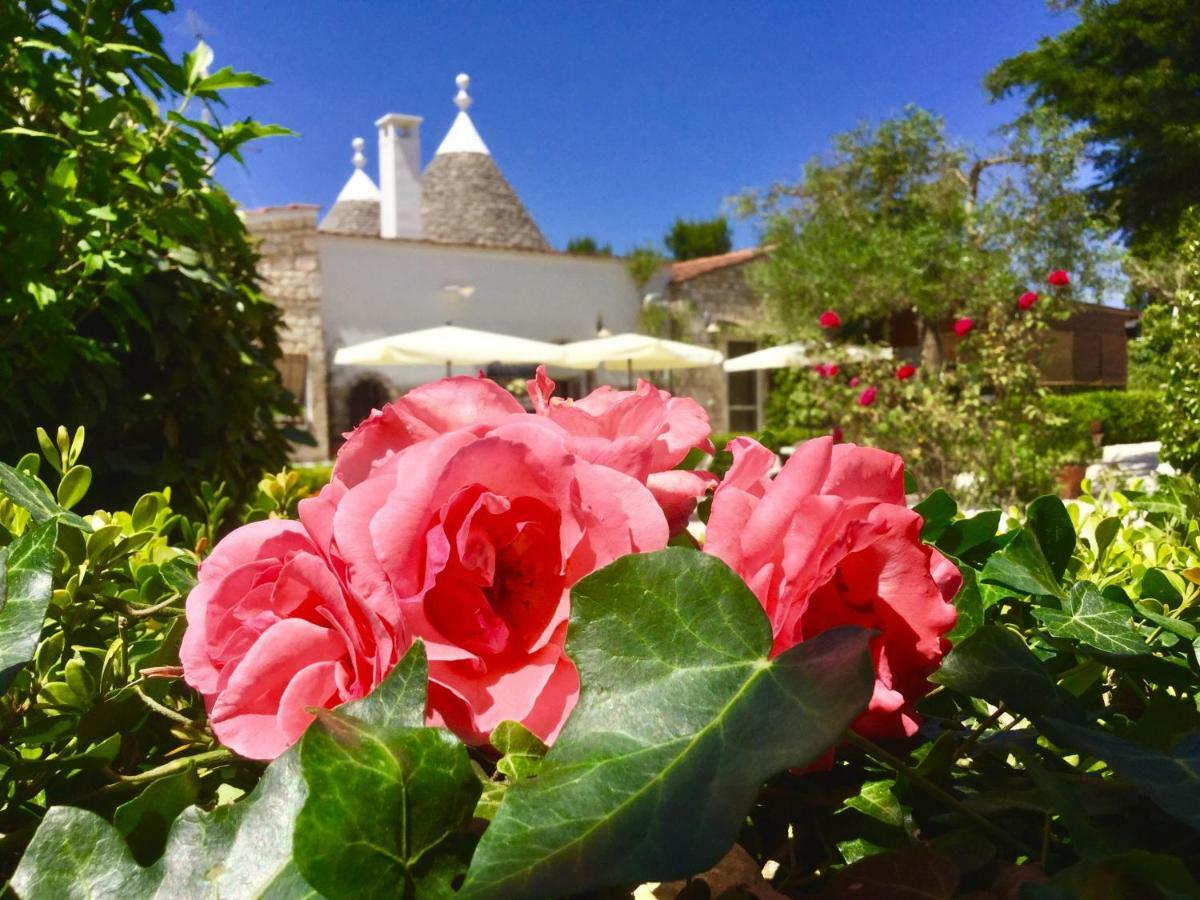Mirella Charming Bed & Breakfast Alberobello Ngoại thất bức ảnh